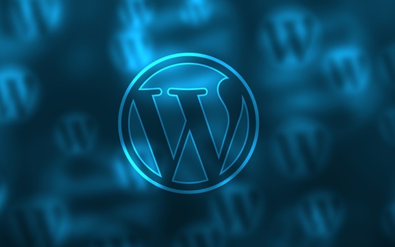 wordpress konfiguracja motywu